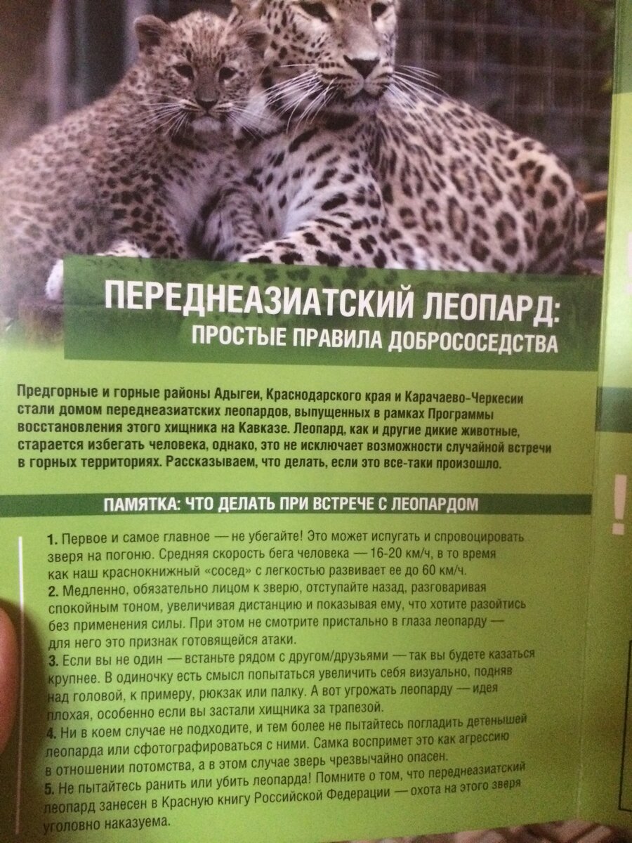 Всем стоять бояться!