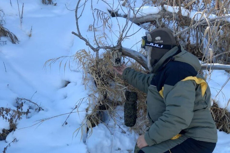     С помощью высоких технологий можно помогают бесконтактно отслеживать животных в естественной среде обитания.