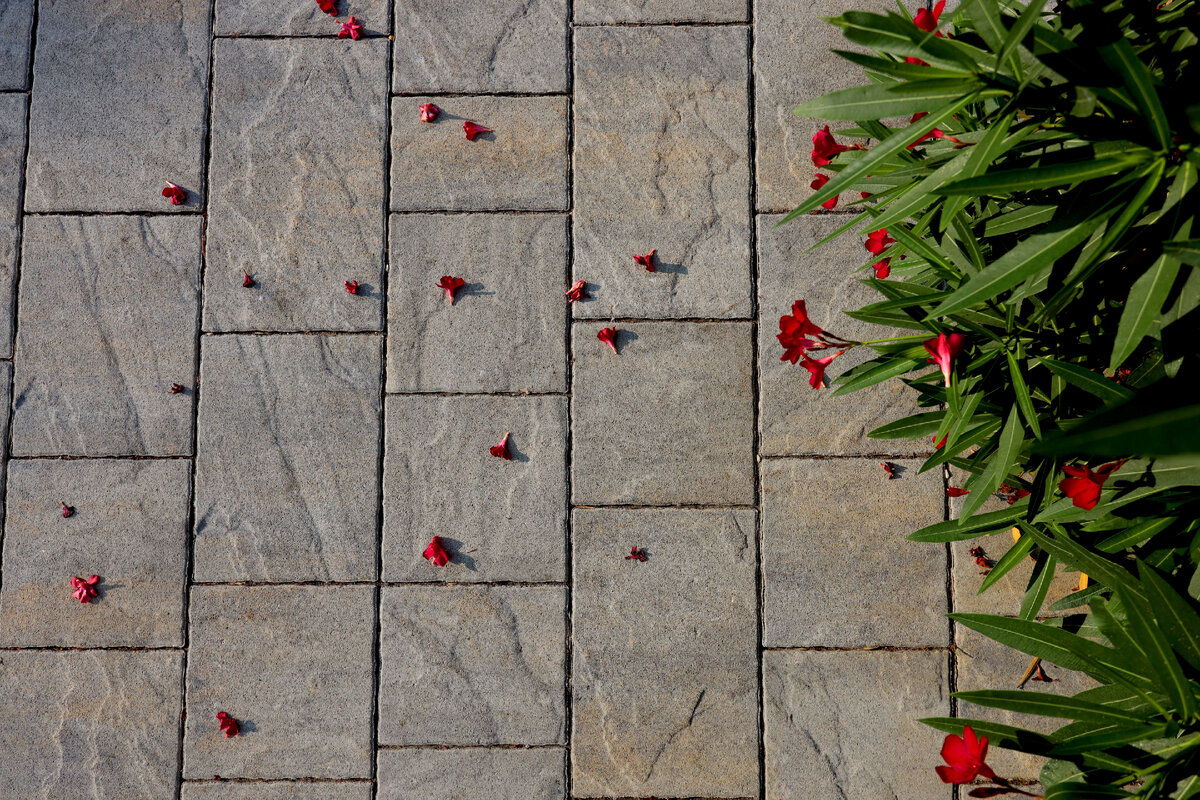 Тротуарная плитка компании "Выбор"