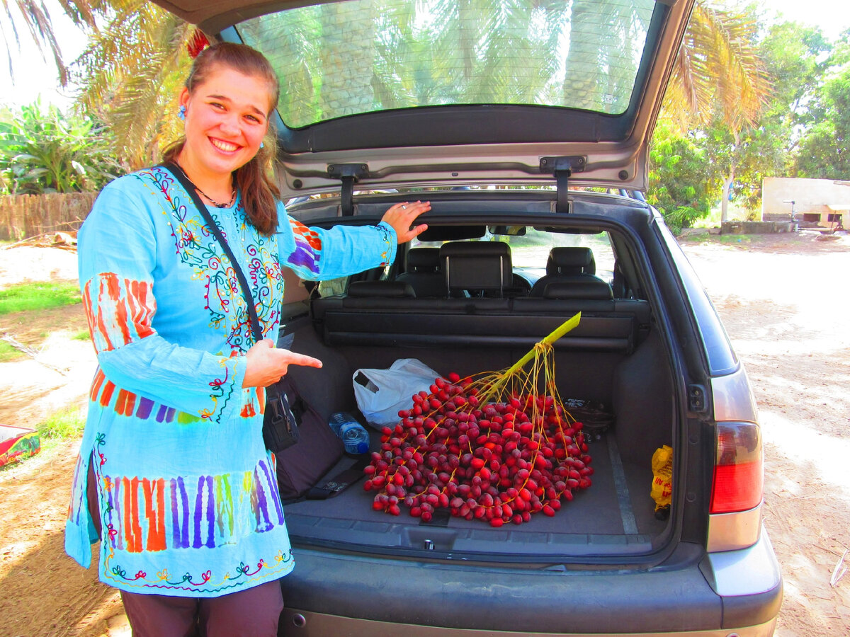 Веточка фиников