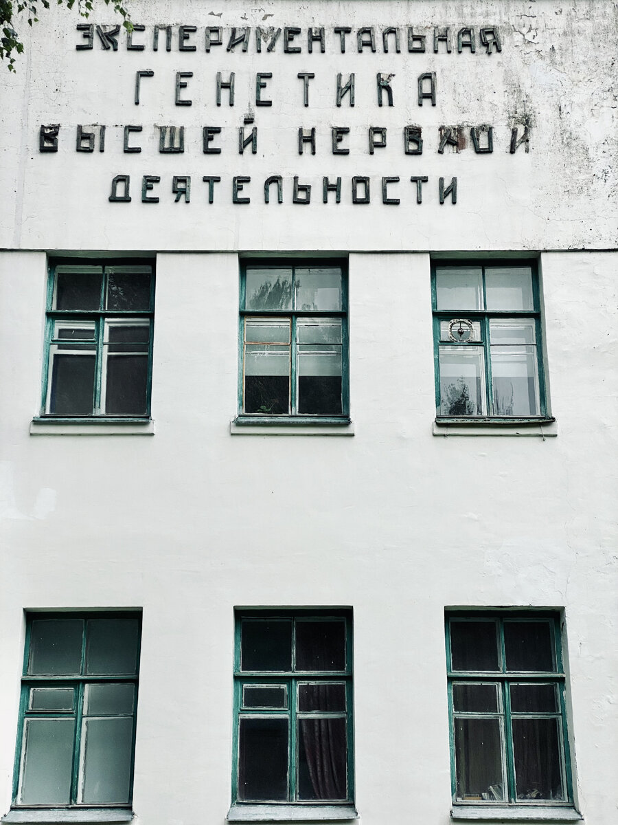 Гид научных путешествий: Научный городок Института физиологии имени И. П.  Павлова | Научный дзен в Сколтехе | Дзен