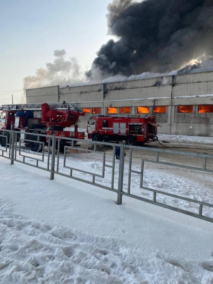     Фото: пресс-служба краевого МВД.