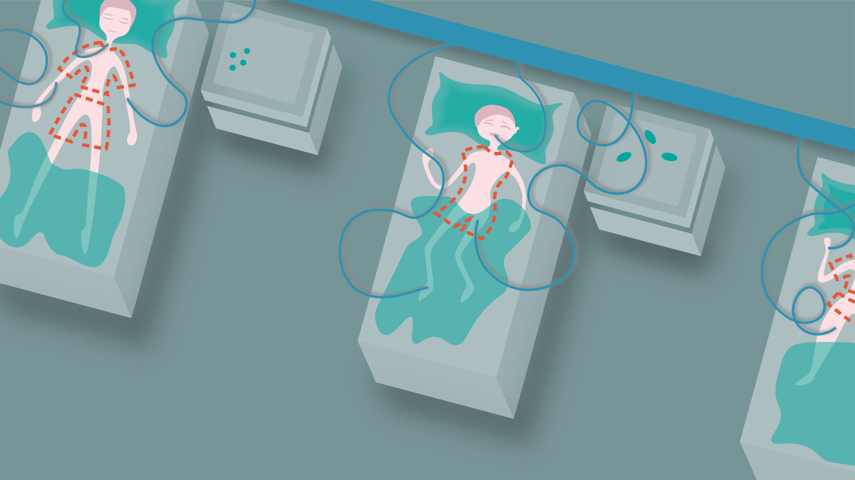 Иллюстрация: Анастасия Родина для ТД