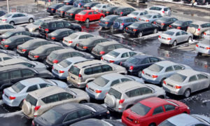    Фото: twitter.com Ирина Кипшидзе