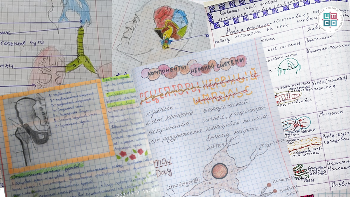 Мы подобрали для вас несколько примеров для ведения ярких и запоминающихся конспектов. берите на заметку! Примеры взяты из интернета.