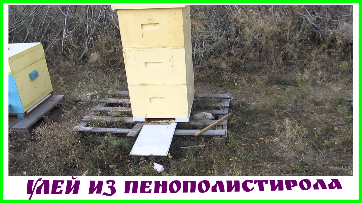 улей из пенополистирола
