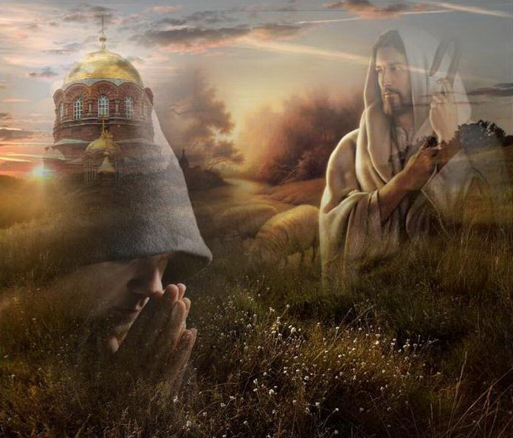 Источник: fikiwiki.com