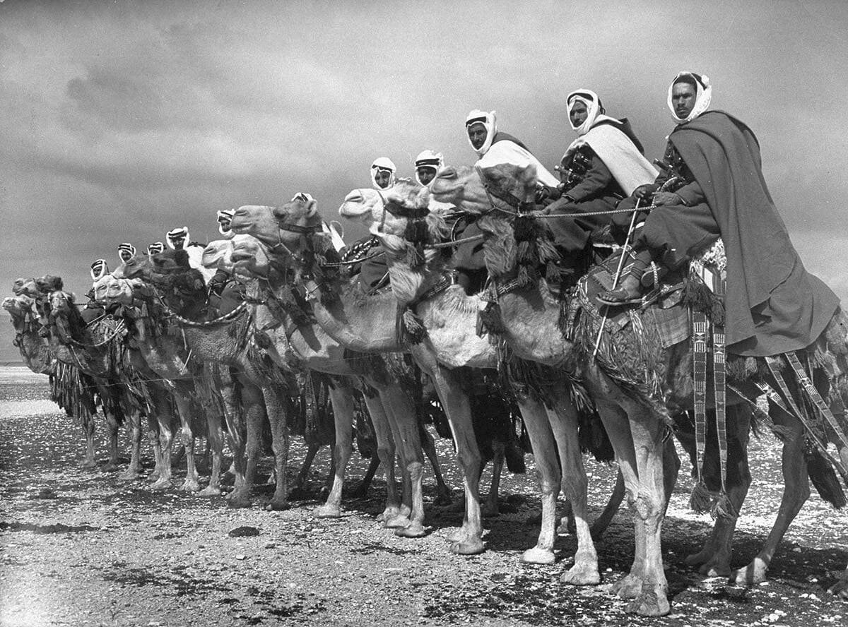 Первые арабы. Арабское восстание 1916. Арабы 19 век. Саудовская Аравия 19-20 века. Саудовская Аравия 19 век.