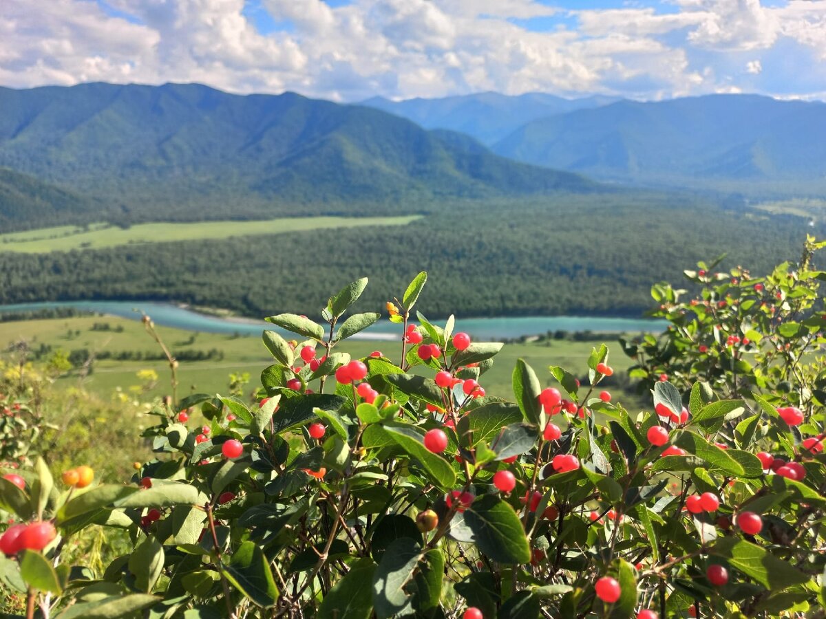 Сплав по реке Катунь