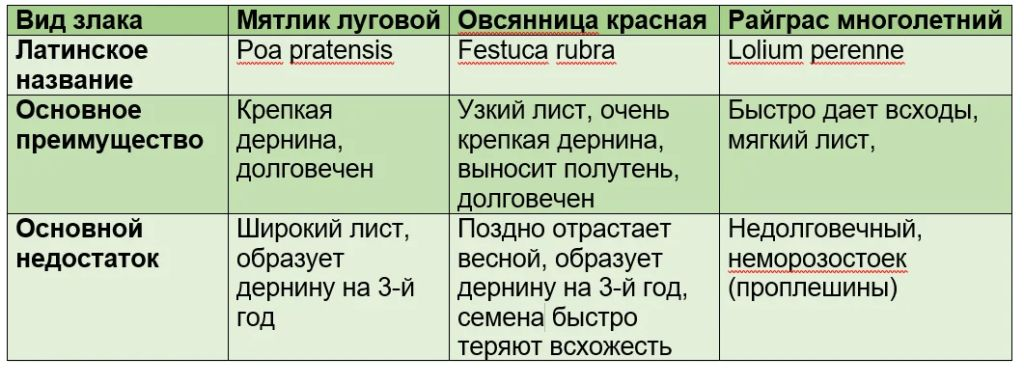Травяные смеси для партерного газона содержат растения, отличающиеся невысокой интенсивностью роста