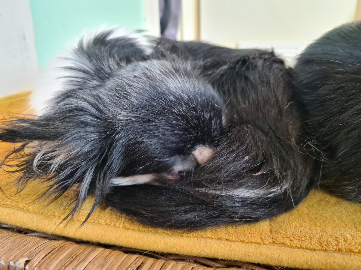 Так должны мы выглядеть в пост 😄