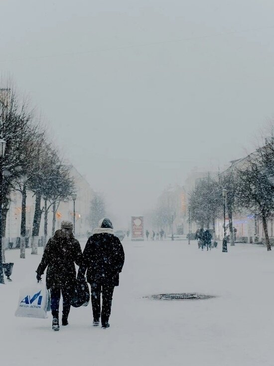     фото: карина пожогина