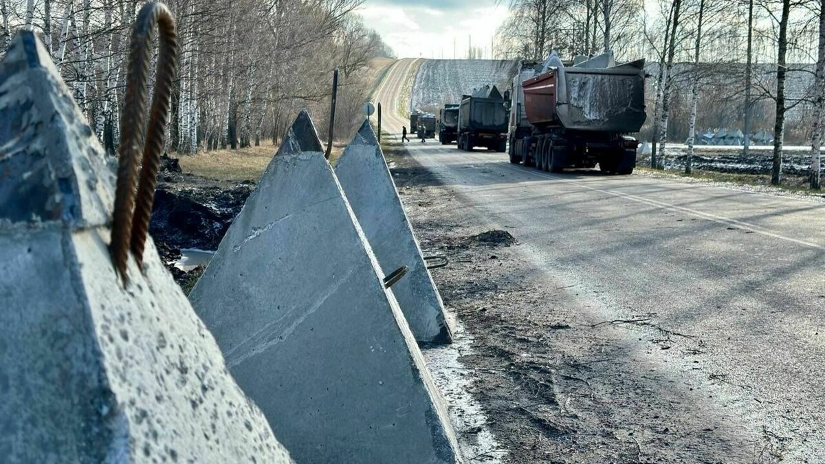 Почти 10 млрд рублей потратили на строительство засечной черты в  Белгородской области | Бел.Ру | Дзен