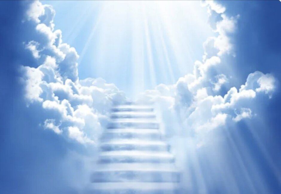 Фото взято из интернета 