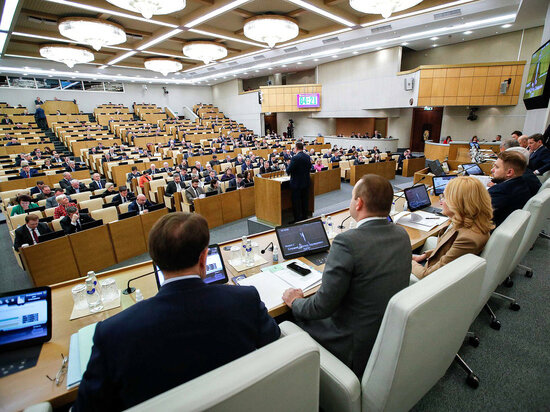     Фото: duma.gov.ru