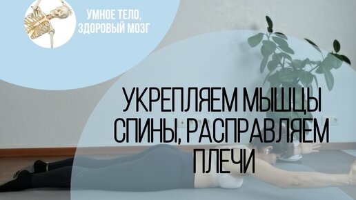 Укрепляем мышцы спины, расправляем плечи