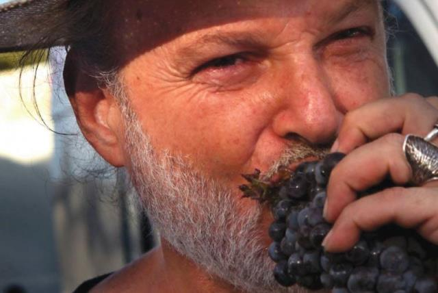 Ави Фельдштейн