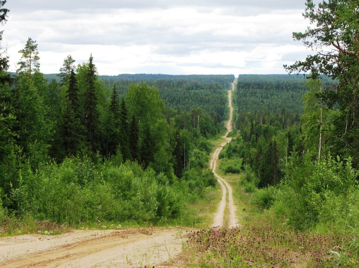 Картинка из интернета.