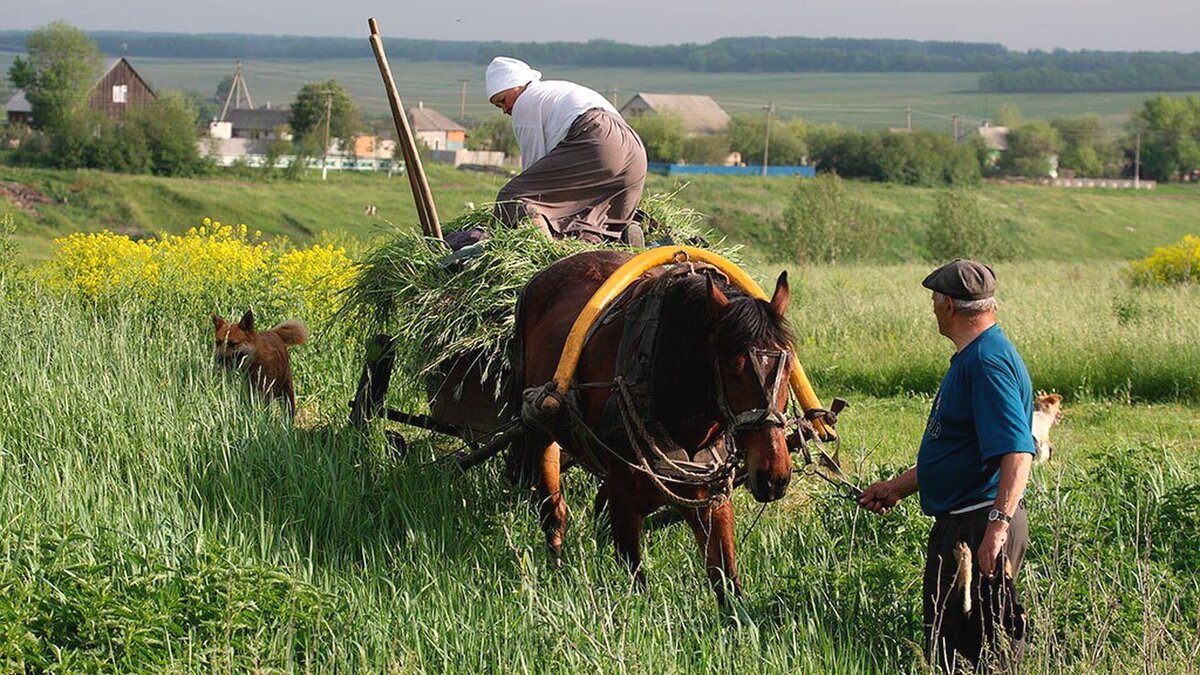 Чтобы жило село