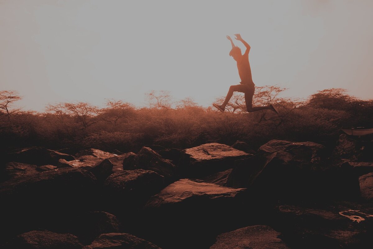 фото из свободного доступа pixabay.com