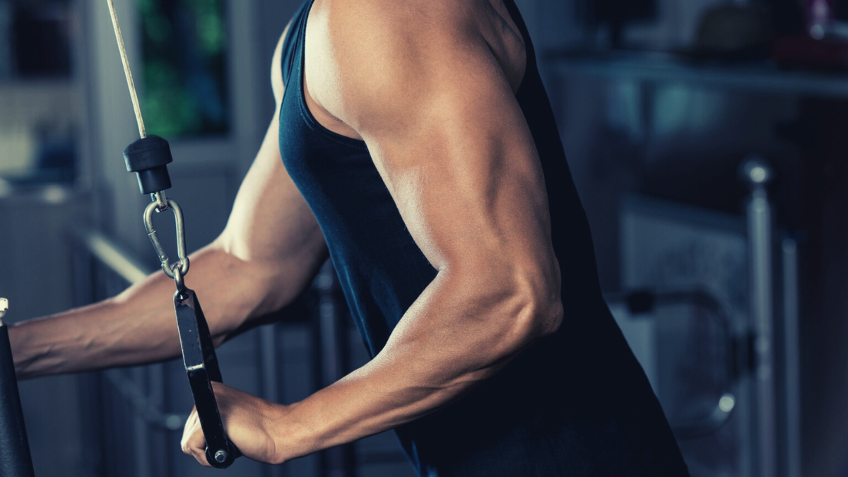 Упражнения для силы хвата и кисти. Эффективные упражнения для похудения рук. Упражнения на хват руки. Упражнения на силу хвата. Чтобы руки были сильными.