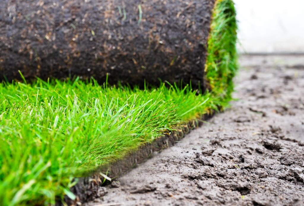 Удобрения для газона: чем подкормить газон весной, летом и осенью | Дизайн участка (баня-на-окружной.рф)