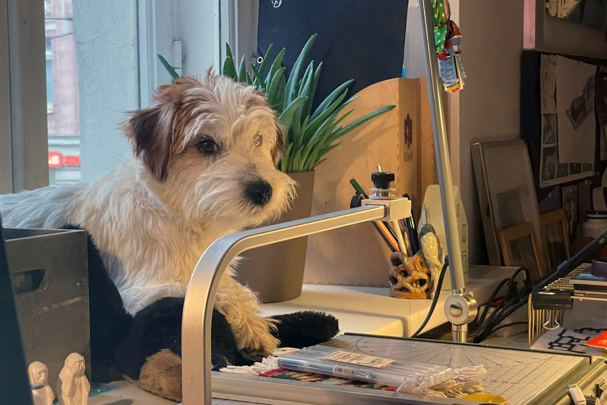 Фото: Афиша Daily