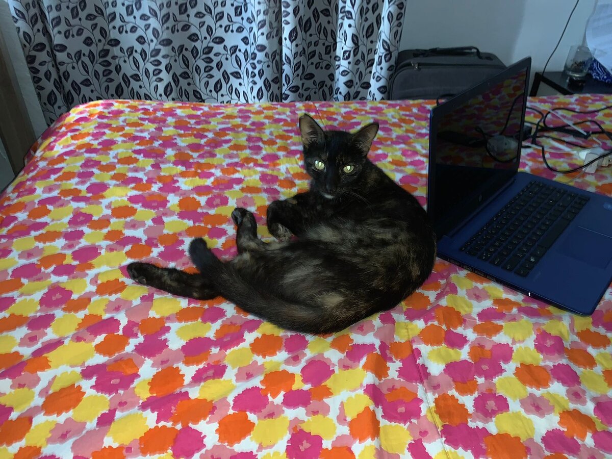 Августа. Королева дома