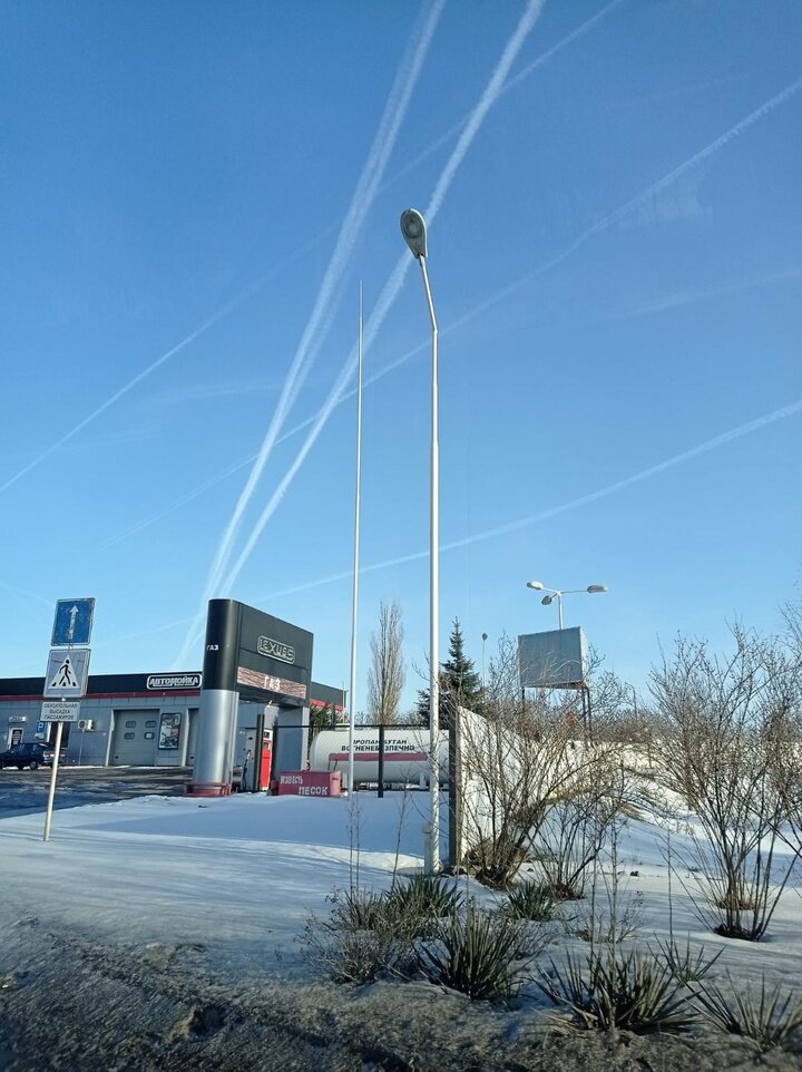     Фото: vk.com Полина Шумова