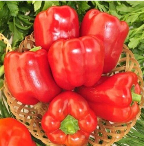 Сладкий перец "Красное чудо"