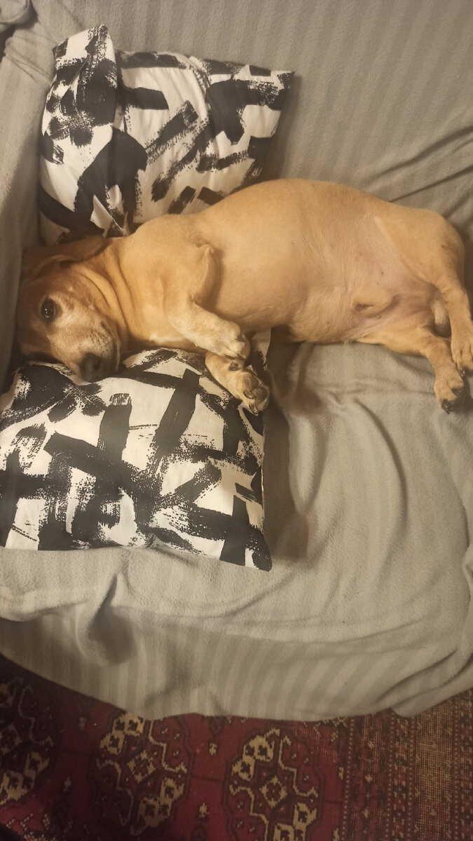 Устал я ,бабы,после внимания вашего:)))