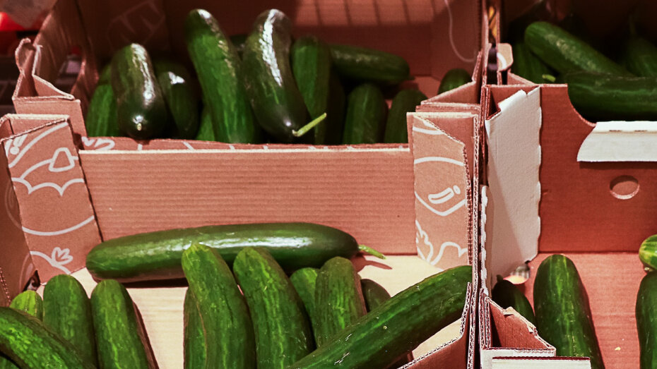    Автор фото: Виктория Курляндская (из архива)