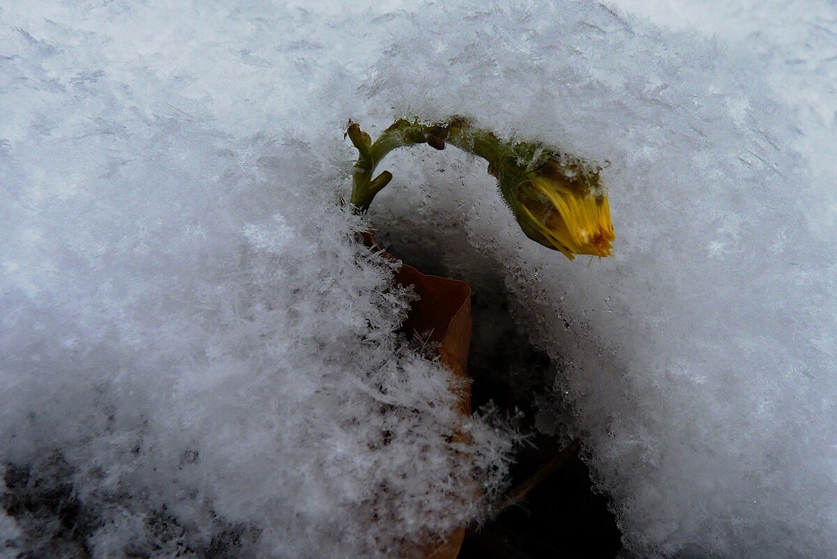 В феврале 2023 года была зафиксирована самая низкая и самая высокая температура нынешней зимы.