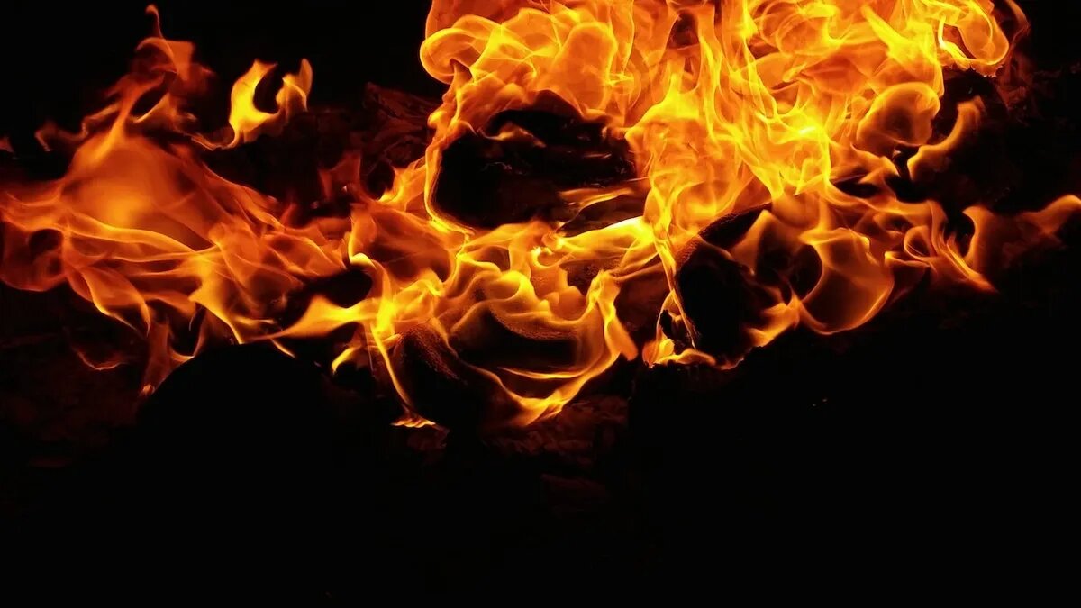 Фото: pexels.com