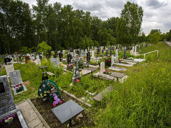     фото густаво зырянова/мк в новосибирске