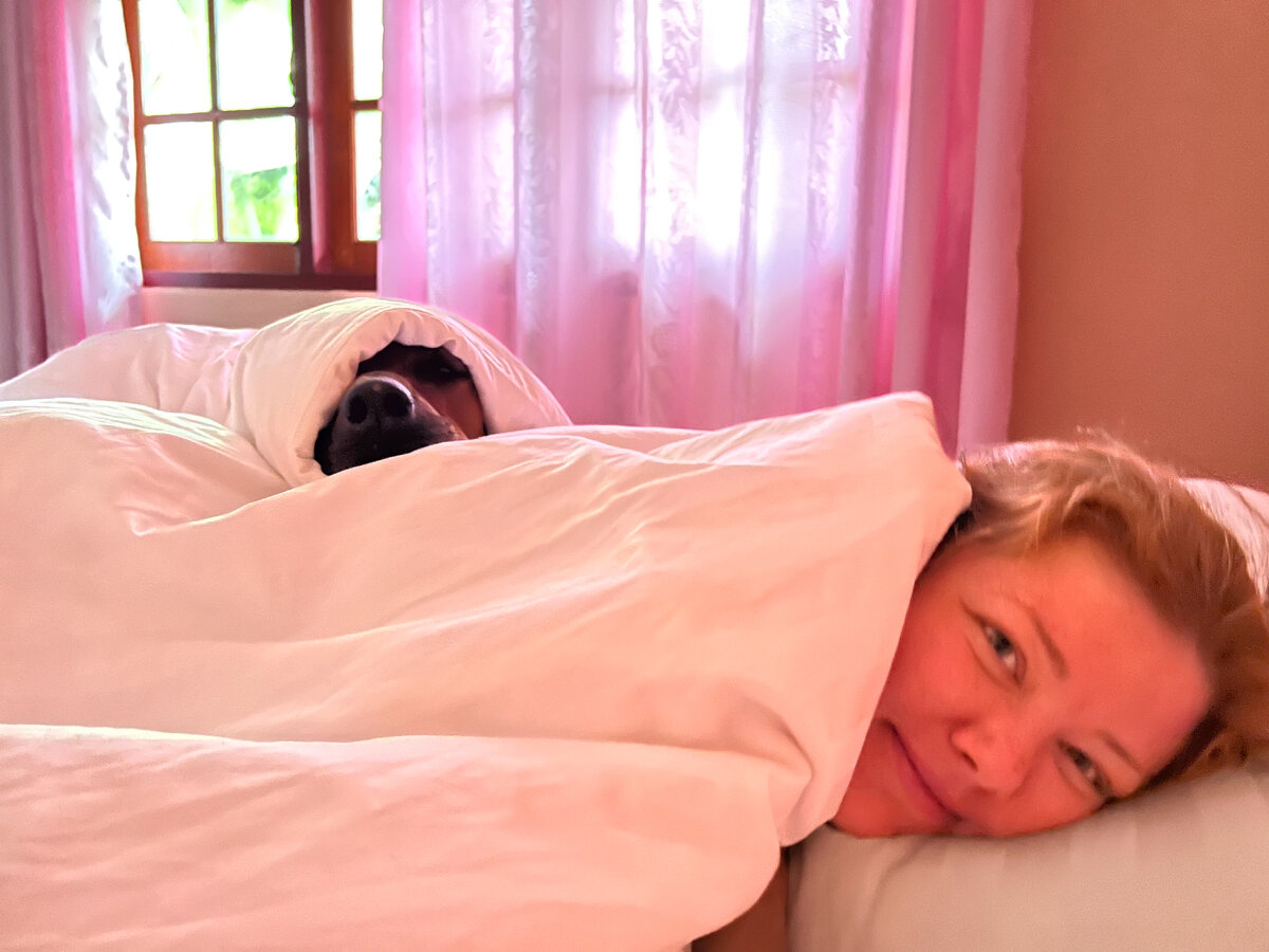 В Таиланде мы провели 3 месяца, намотали более 4 тыс км на скутере с прицепом. Хочется подытожить. Мы тут не первый раз много колесили и до этого без собаки, на скутере и на своих двоих.-14