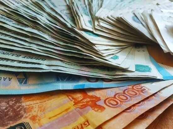     Гендиректор предприятия Хабаровского края задолжал больше миллиона зарплаты работнику / Ольга Кива