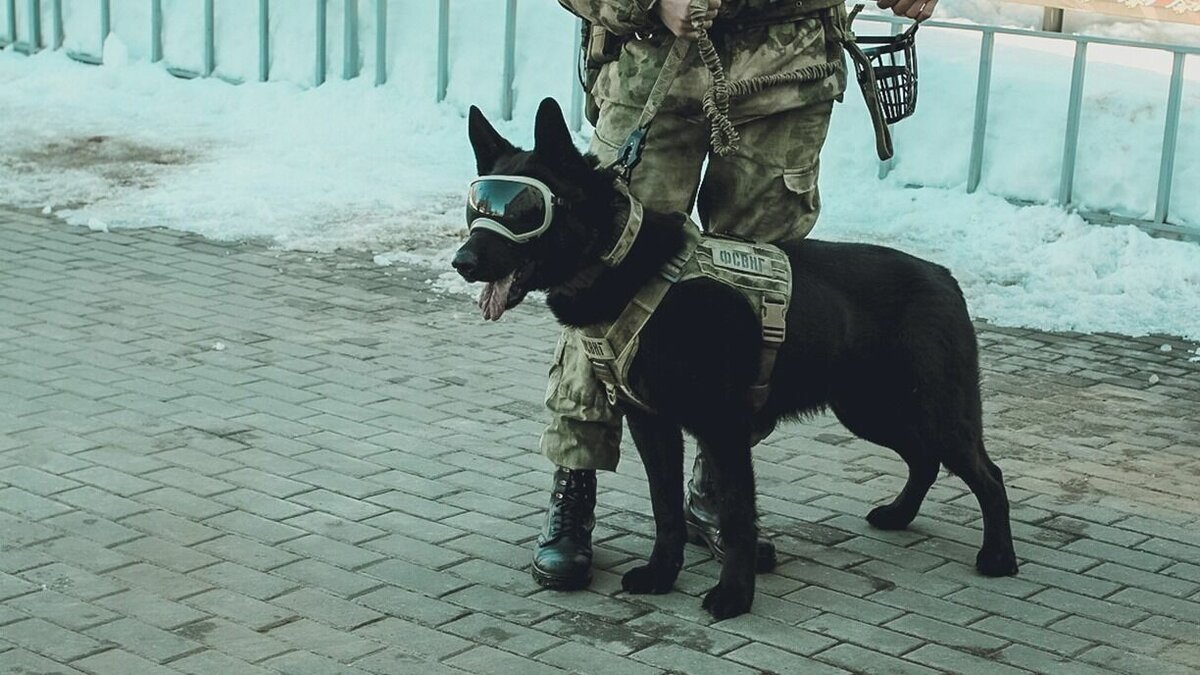     Власти Тверской области заявили об усилении мер безопасности на социальных объектах региона после событий 2 марта в Климовском районе Брянской области.