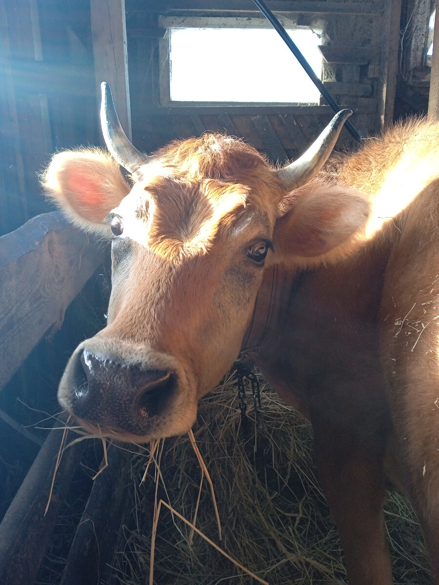 Наша малышка♥️