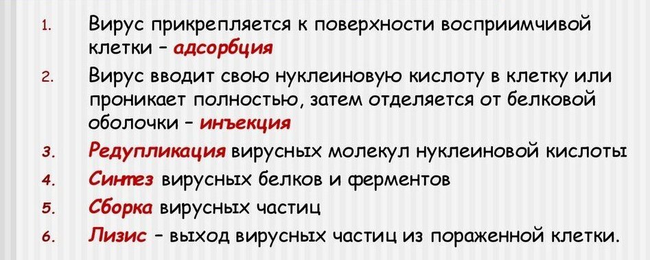 Хронические вирусные заболевания