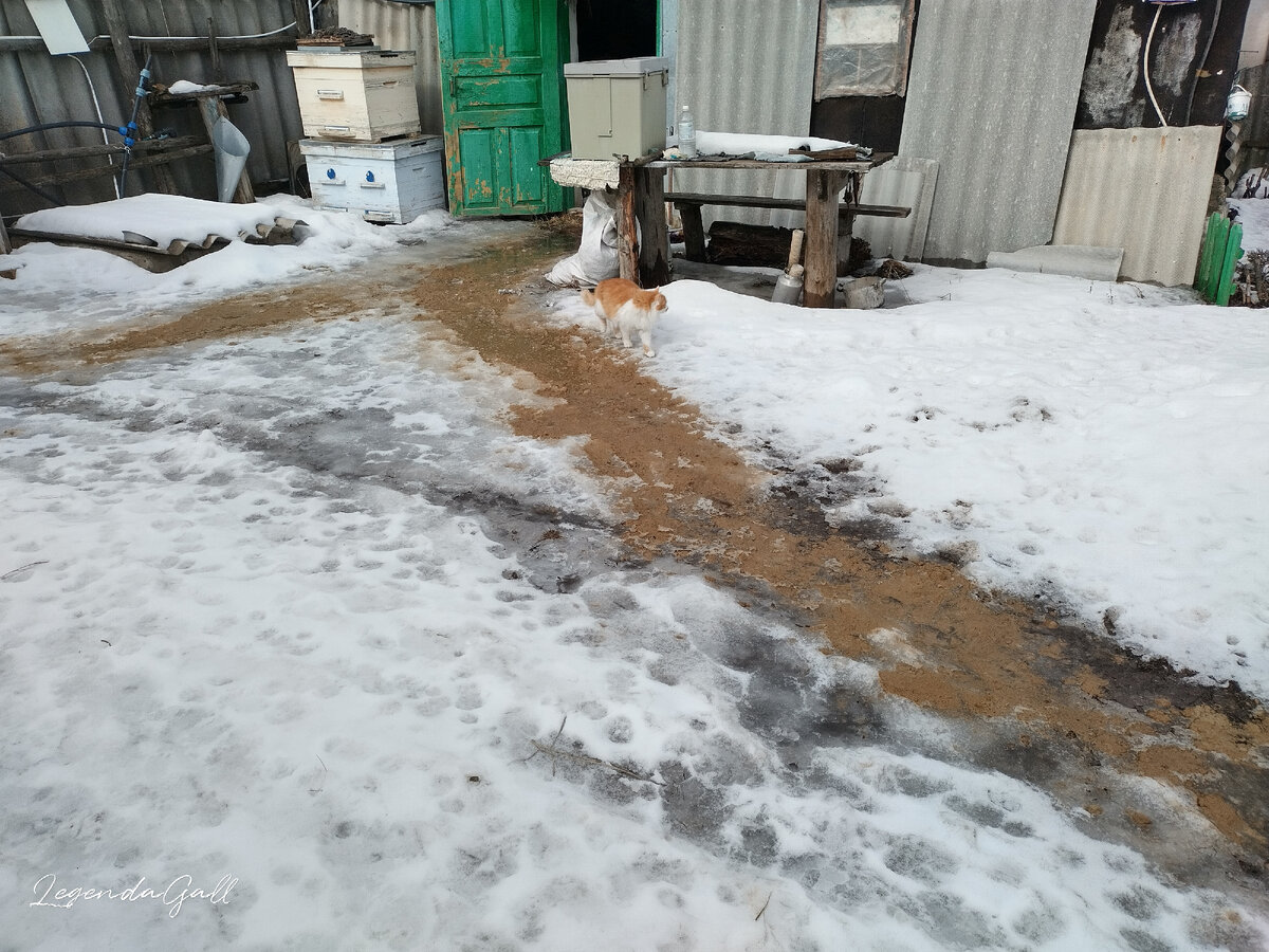 Дорожки стали стремительно таять