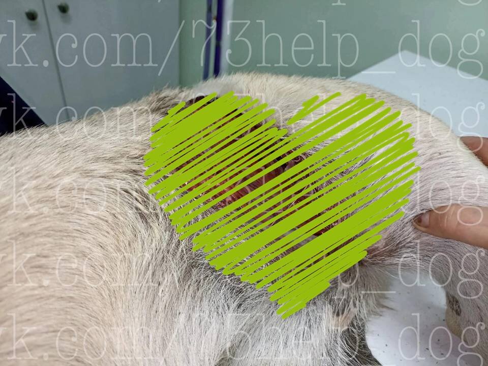 -1-3