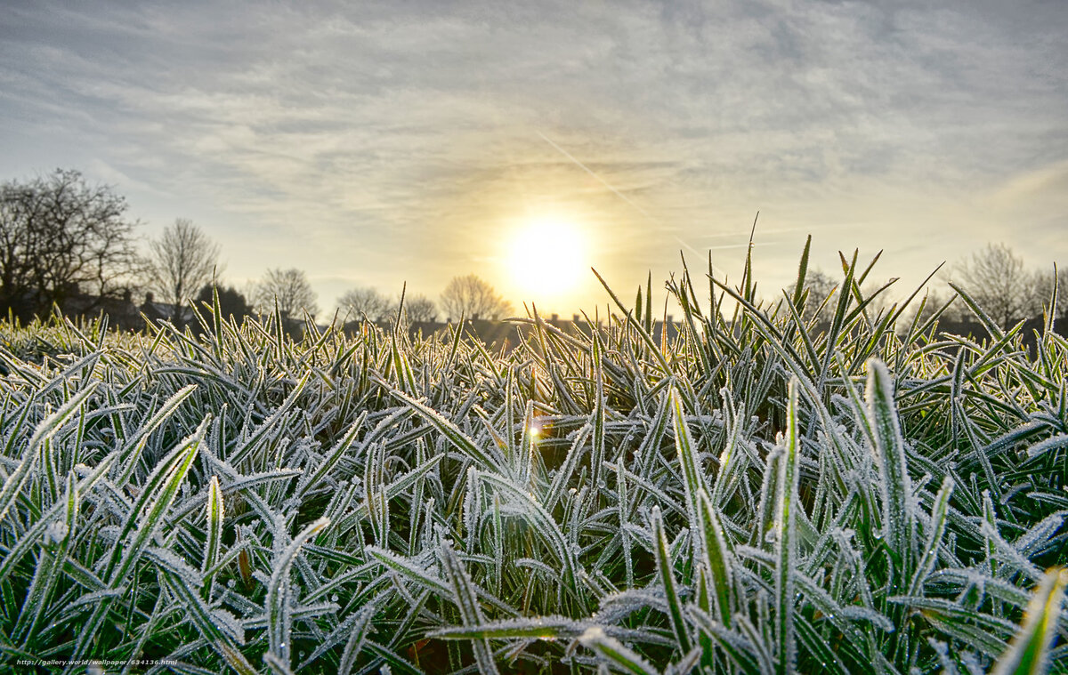 На лугах лежит иней. Когда ночью температура опускается ниже нуля, из частиц воды, содержащихся в воздухе близко от поверхности земли, образуются маленькие твёрдые кристаллики льда. 