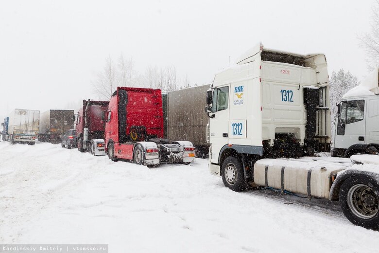    Фото: Дмитрий Кандинский / vtomske.ru