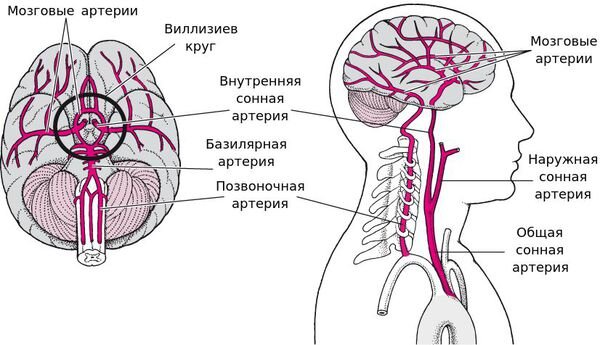 Инсульт и храп: правда и вымысел