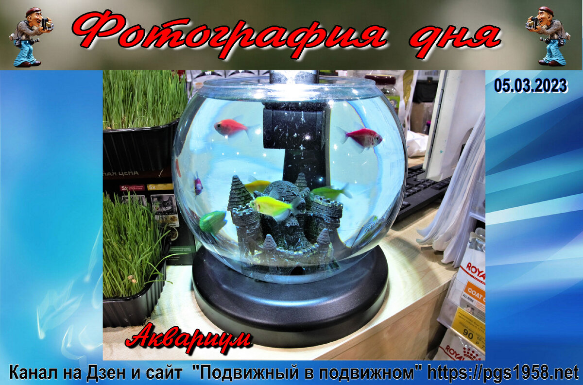 Фотография дня 05.03.2023 г