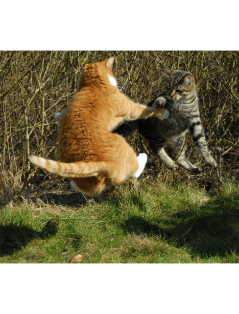 Источник: Яндекс картинки