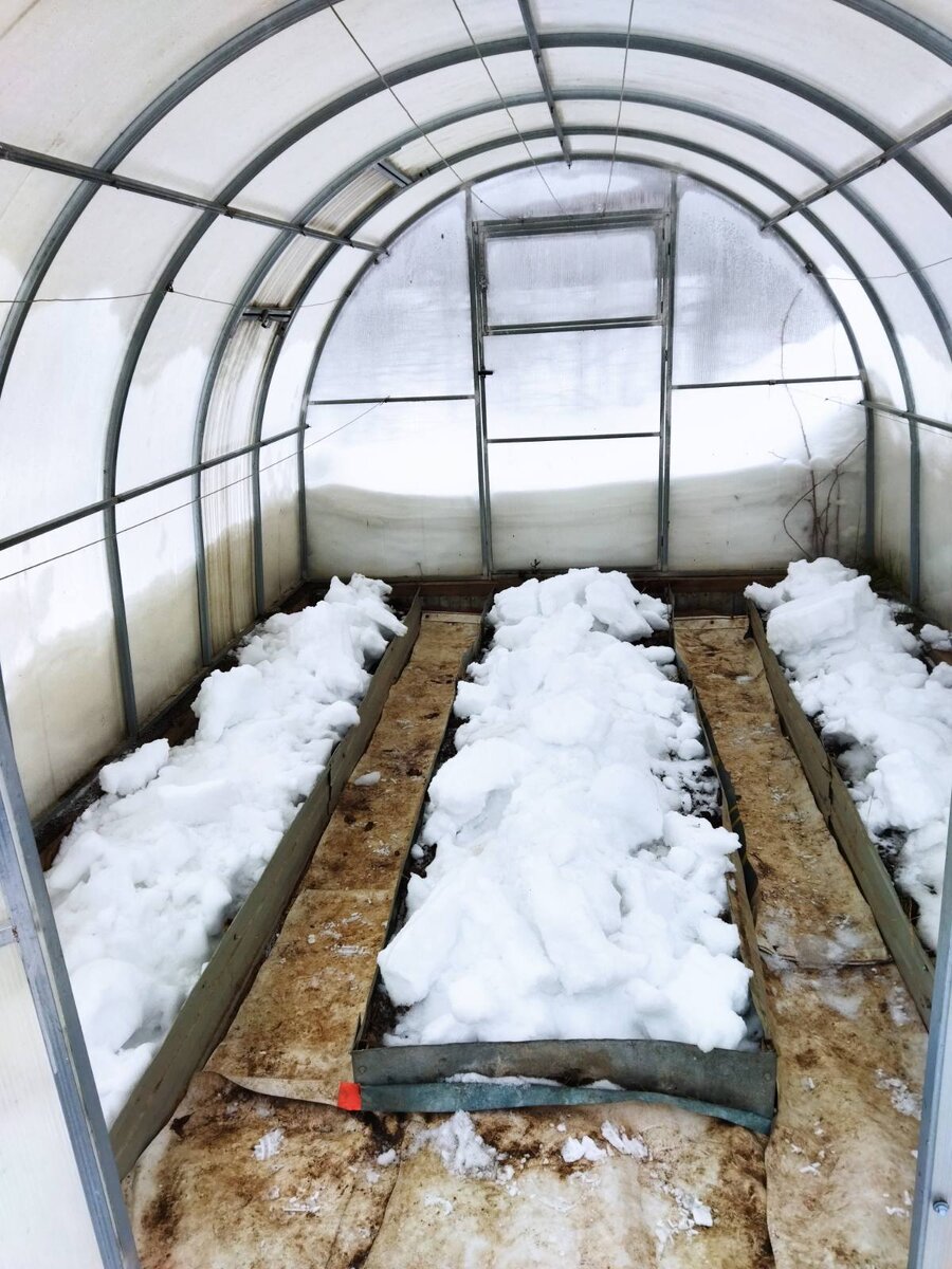 Оптимальный вариант – слой снега толщиной 30 см. Будем добавлять еще.