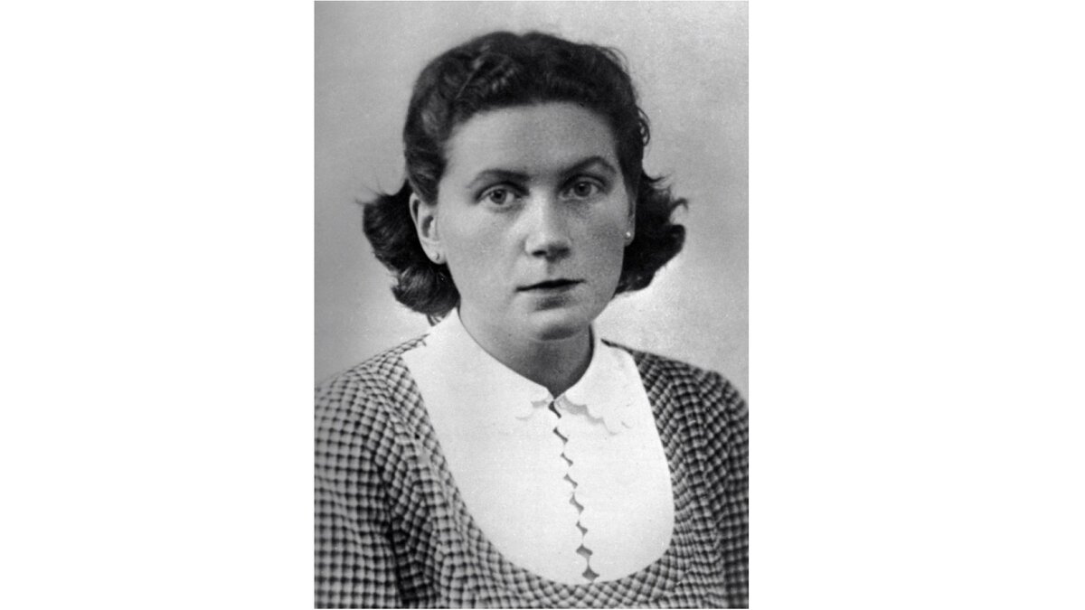 Фото из открытых источников