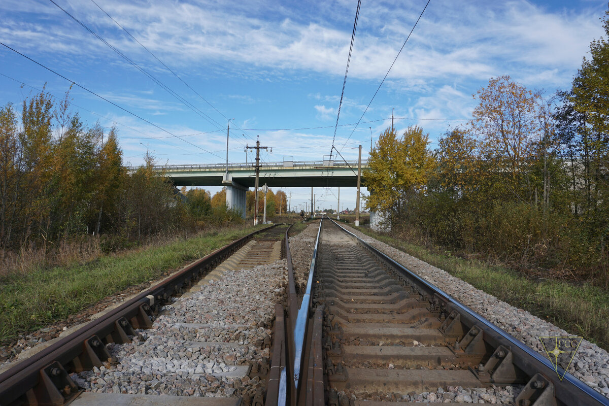Мёртвая, но живописная ветка железной дороги в Подмосковье